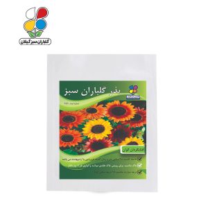 بذر گل آفتابگردان زینتی بسته بندی بزرگ ( بسته 24 عددی )