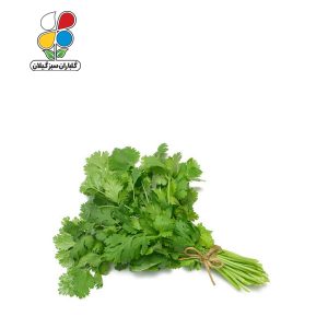 بذر جعفری بسته 3 عددی