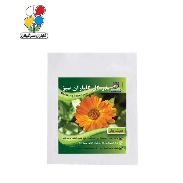 بذر گل همیشه بهار بسته بندی بزرگ ( بسته 24 عددی )