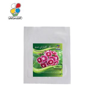 بذر گل میخک بسته بندی کوچک ( بسته 20 عددی )