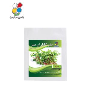 بذر خرفه بسته بندی بزرگ ( بسته 24 عددی )