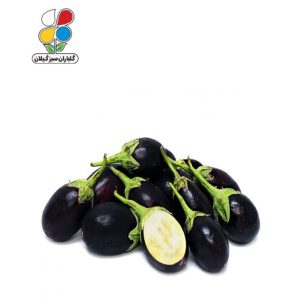 بذر بادمجان دلمه ای بسته سه عددی