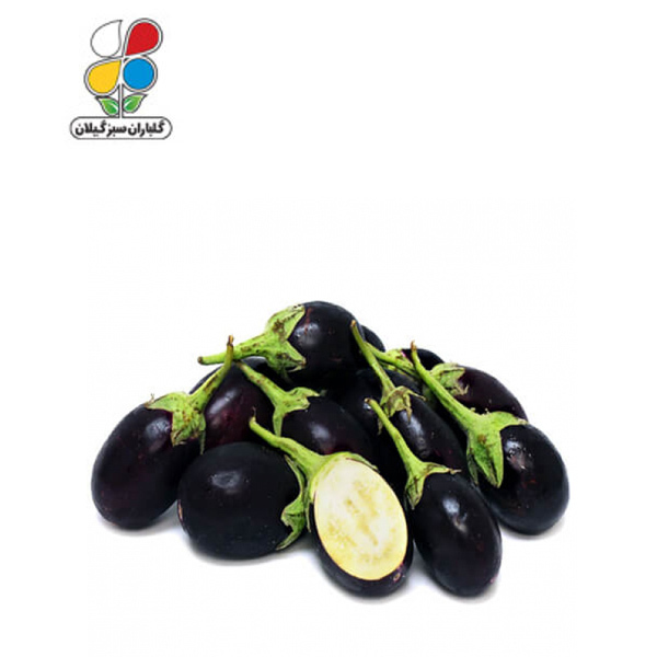 بذر بادمجان دلمه ای بسته بندی کوچک ( بسته 20 عددی )