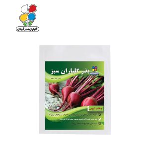 بذر چغندر لبویی بسته بندی کوچک ( بسته 20 عددی )