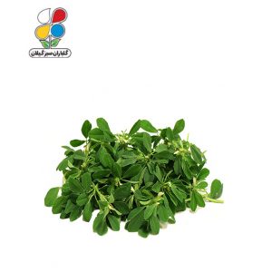بذر شنبلیله بسته 3 عددی
