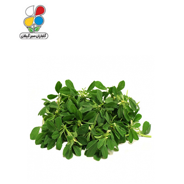 بذر شنبلیله بسته بندی بزرگ ( بسته 24 عددی )