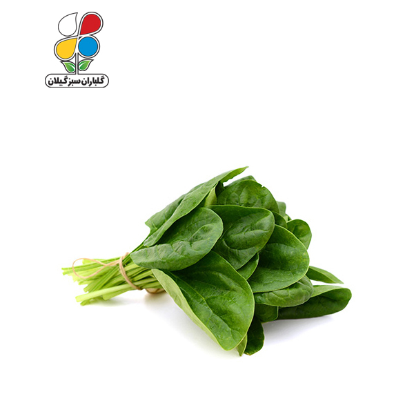بذر اسفناج بسته بندی بزرگ ( بسته 24 عددی )