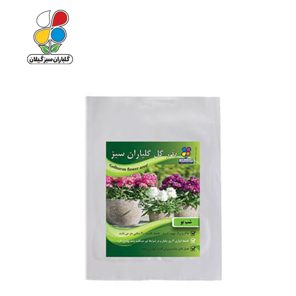 بذر گل شب بو بسته بندی بزرگ ( بسته 24 عددی )