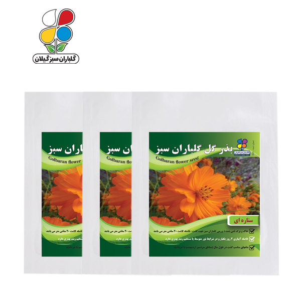 بذر گل ستاره ای بسته 3 عددی