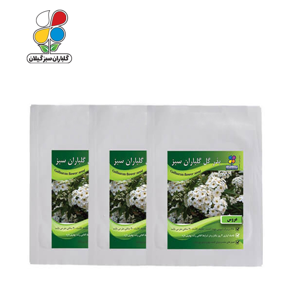بذر گل عروس بسته 3 عددی - Image 2