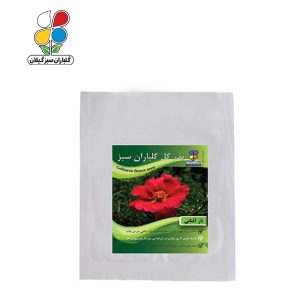 بذر گل ناز آفتابی بسته بندی بزرگ ( بسته 24 عددی )