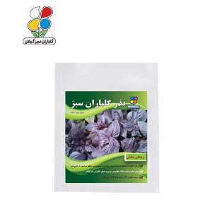 بذر ریحان بنفش بسته بندی کوچک ( بسته 20 عددی )