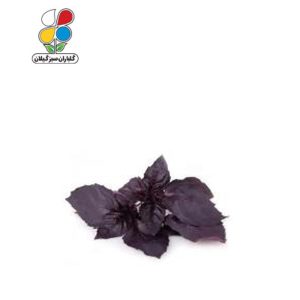 بذر ریحان بنفش بسته سه عددی