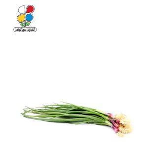 بذر پیازچه قرمز بسته 3 عددی