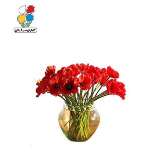بذر گل شقایق نعمانی بسته 3 عددی