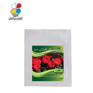 بذر گل حنایی بسته بندی کوچک ( بسته 20 عددی )