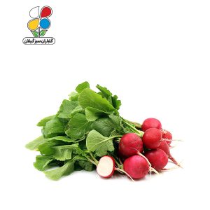 بذر تربچه بسته 3 عددی