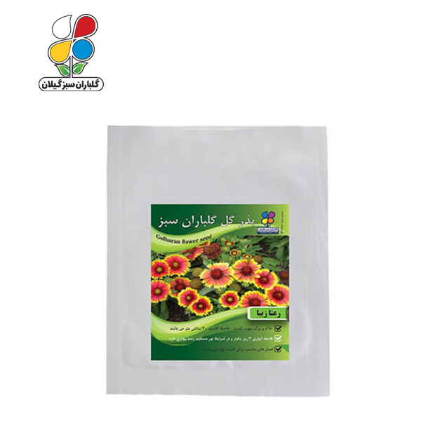 بذر گل رعنا زیبا بسته بندی بزرگ ( بسته 24 عددی )