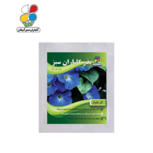 بذر گل نیلوفر بسته بندی بزرگ ( بسته 24 عددی )
