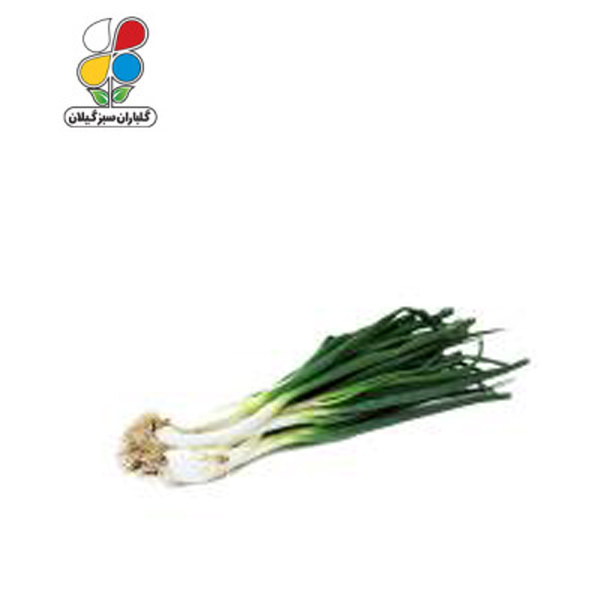 بذر پیازچه سفید بسته بندی کوچک ( بسته 20 عددی )