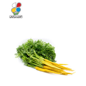 بذر هویج زرد(زردک) بسته سه عددی