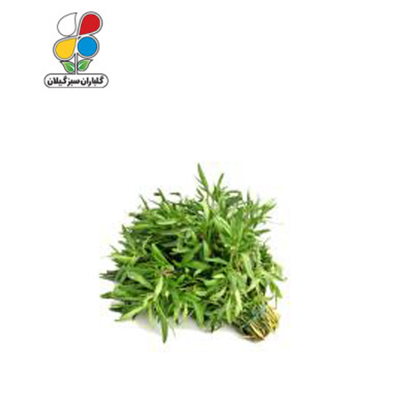 بذر مرزه بسته بندی کوچک ( بسته 20 عددی )