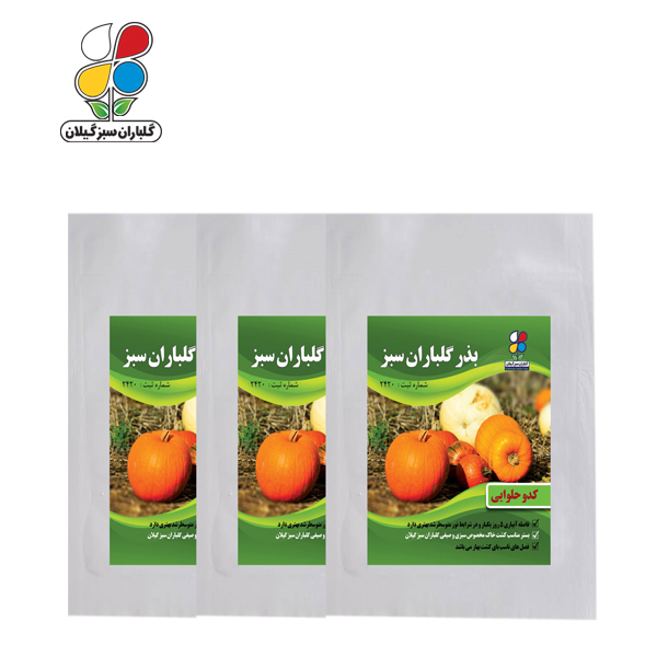 بذر کدو حلوایی بسته بندی بزرگ بسته سه عددی