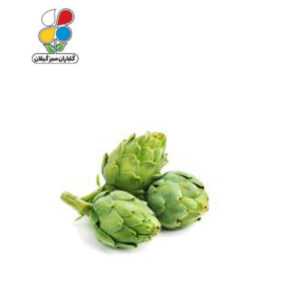 بذر کنگر فرنگی بسته بندی بزرگ سه عددی