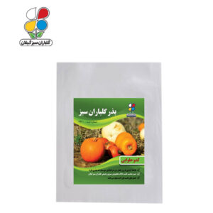 بذر کدو حلوایی بسته بندی بزرگ ( بسته 24 عددی )