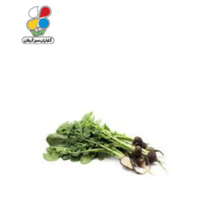 بذر ترب سیاه بسته سه عددی