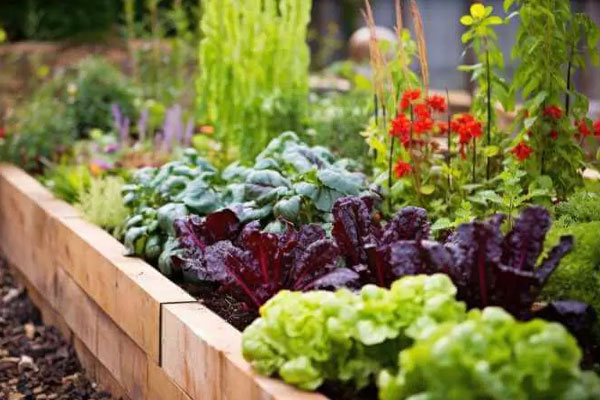 ترکیب برای خاک باغچه