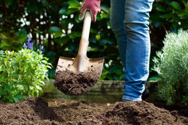خرید خاک باغچه در مجموعه گلباران سرسبز به چه صورت انجام میگیرد؟