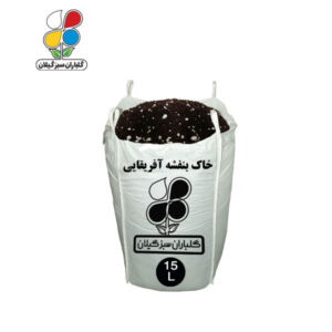 خاک بنفشه آفریقایی 15 تا 110 لیتری