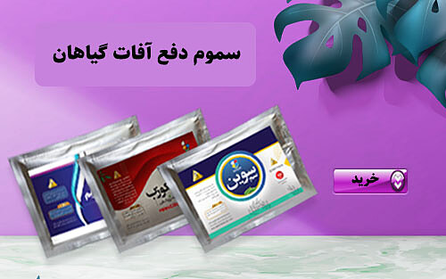 سموم