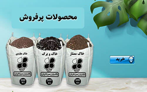 محصولات پر فروش