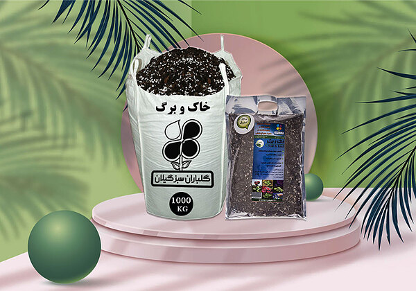 خاک و برگ