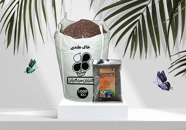 خاکه هلندی