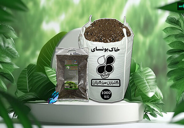 خاک بونسای