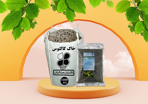 خاک کاکتوس