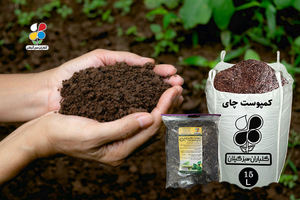 کمپوست چای