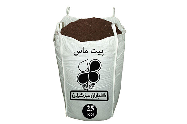 پیت ماس