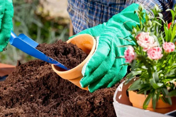 آیا خاک‌ گلدان همان خاک باغچه است؟