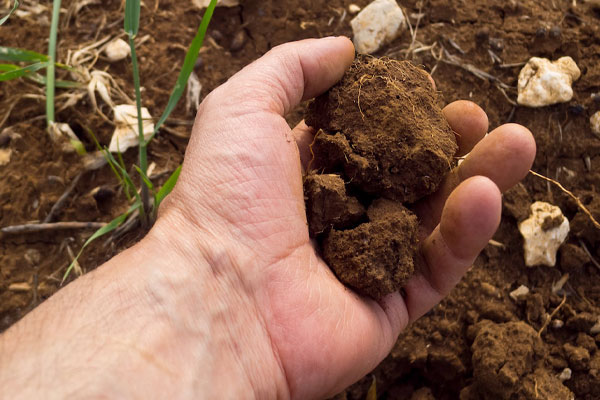 خاک باغچه به چه نوع خاکی گفته‌ می‌شود؟