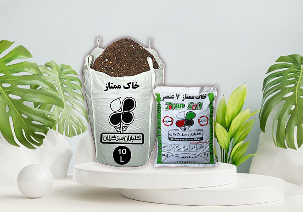 خاک ممتاز