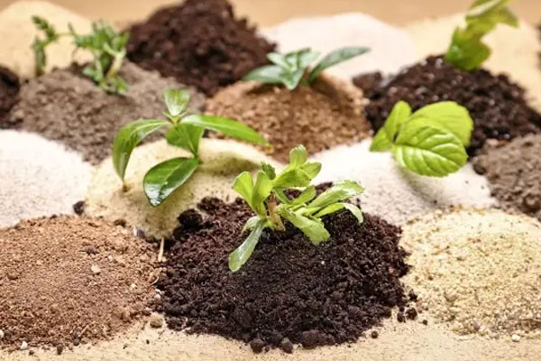 ویژگی‌های بهترین نوع از خاک کشاورزی