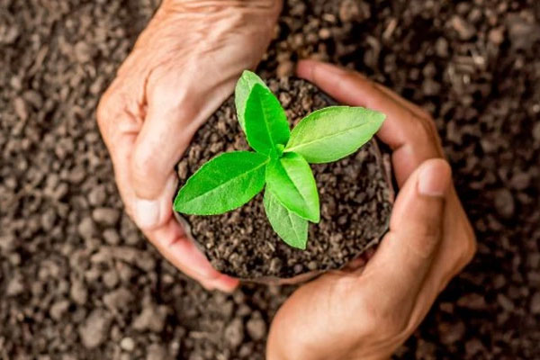 چگونه می‌توان خاک دلخواه خود را داشت؟