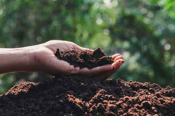 ویژگی‌های خاک مناسب برای کشاورزی