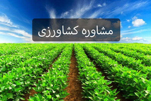 عملیات مشاوره کشاورزی در کدام مجموعهها انجام میگیرد؟