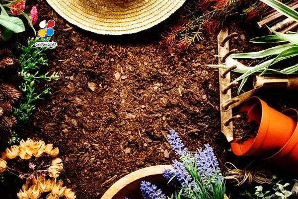 مقایسه خاک رس، ماسه و خاک باغچه