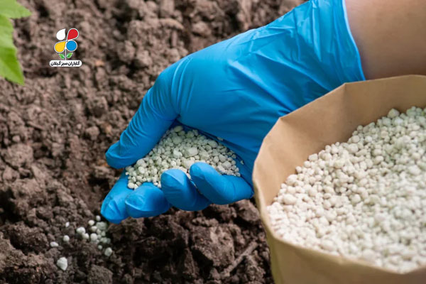 چگونه خاک باغ را حاصلخیز کنیم؟